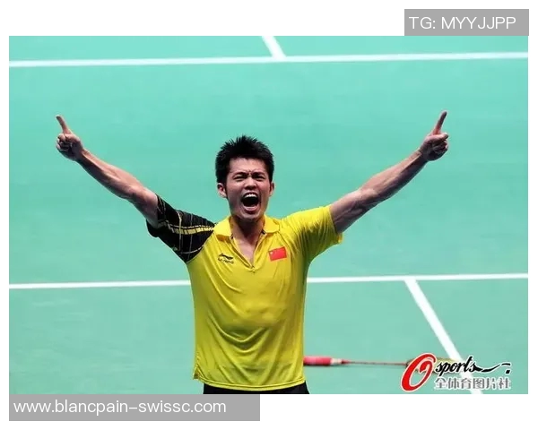 深圳羽毛球队的节奏变化与战绩分析：从胜利到失利的深刻反思